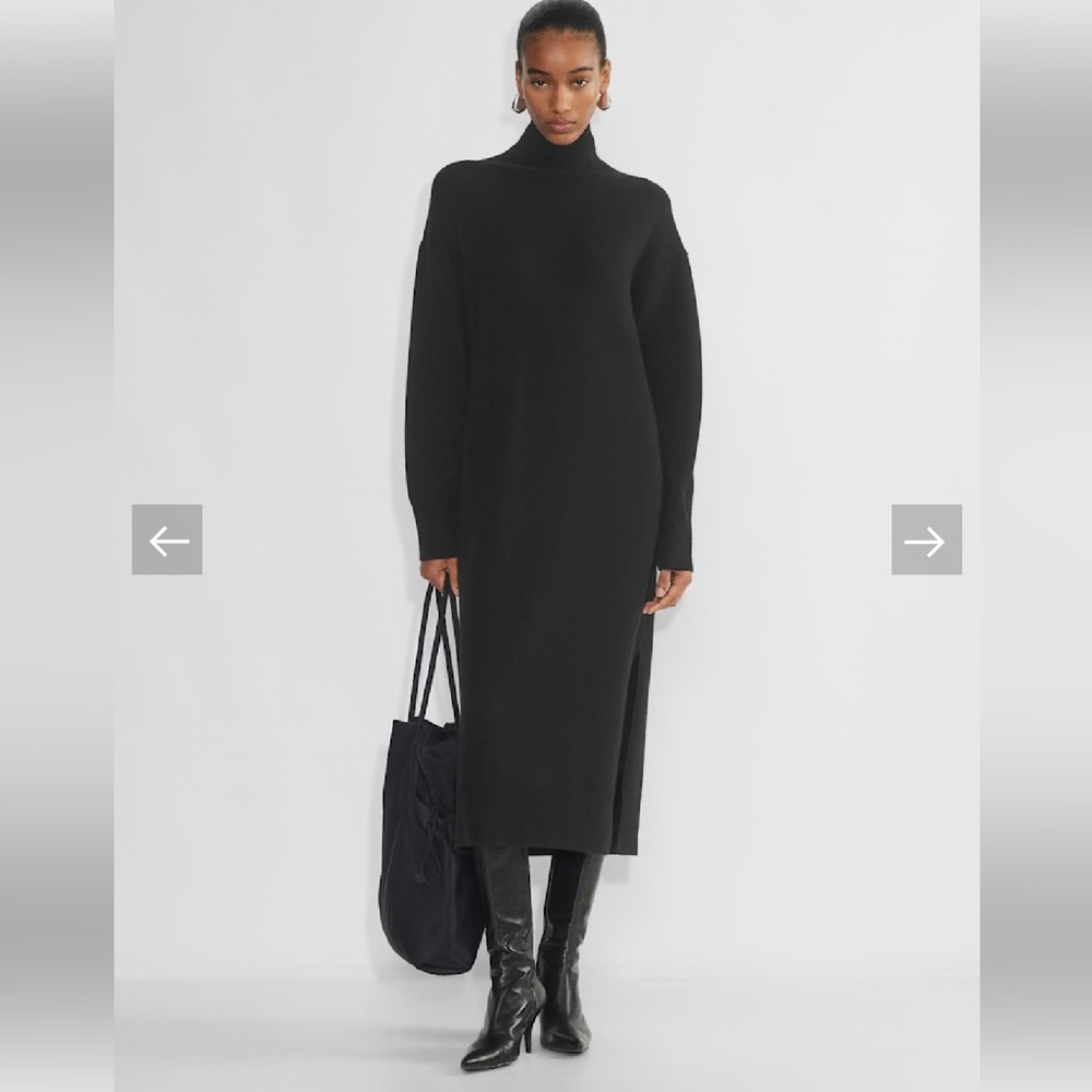 Aritzia Merino Wool Sweater Dress